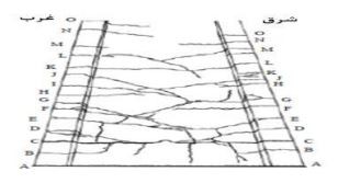 الگوی ترک‌خوردگی دیوار پری